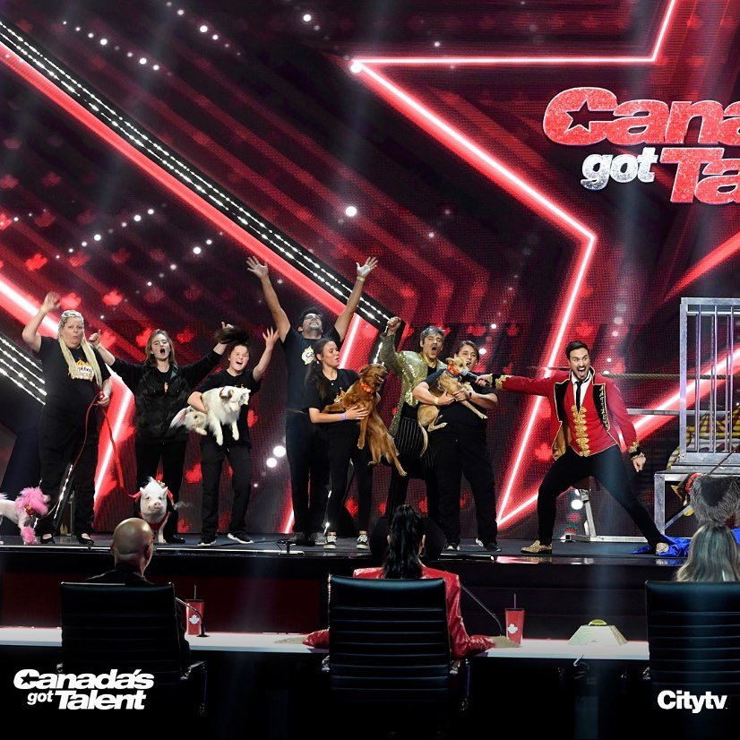 Aaron Matthews on Canada's Got Talent